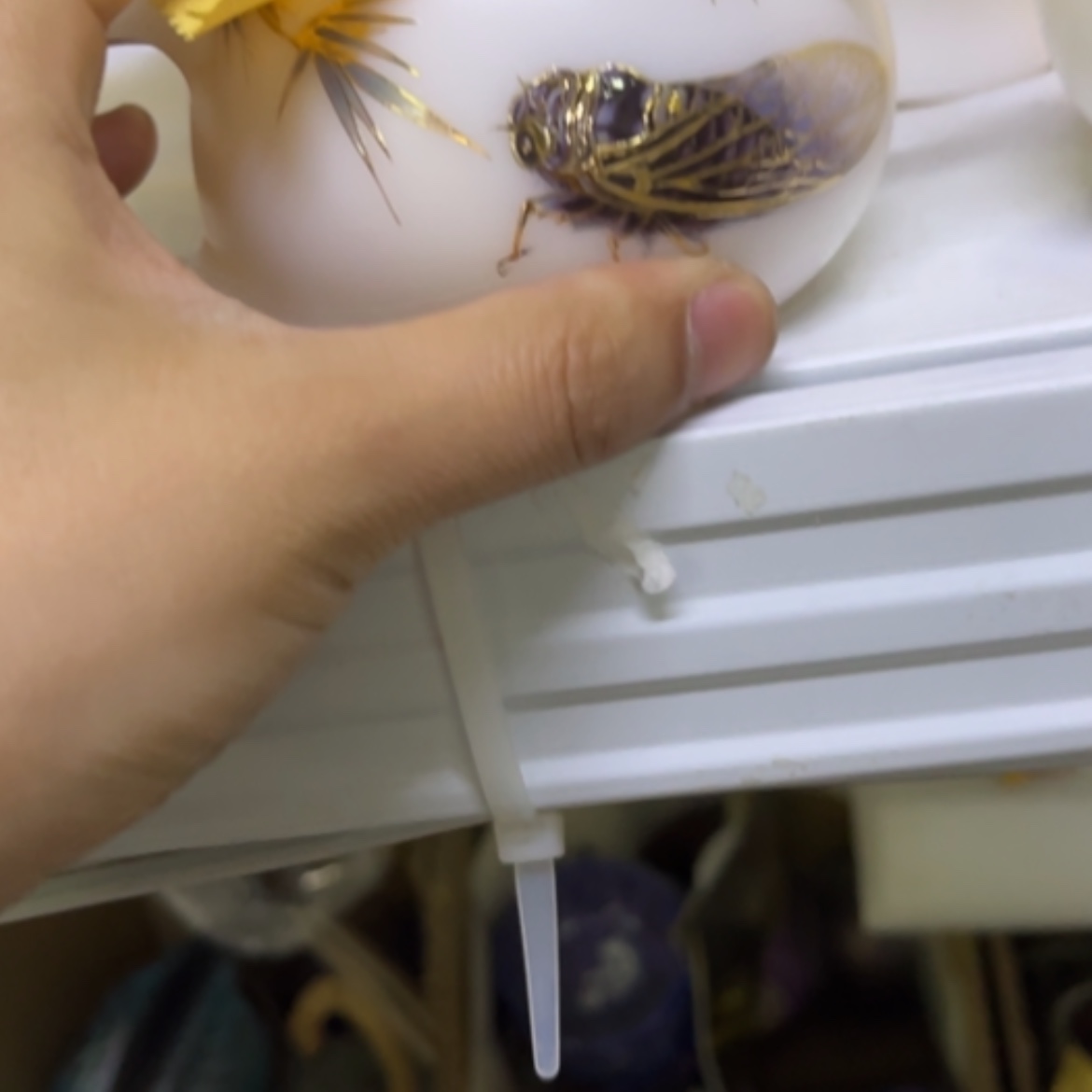 【闪购商品】半*君55555555555555555