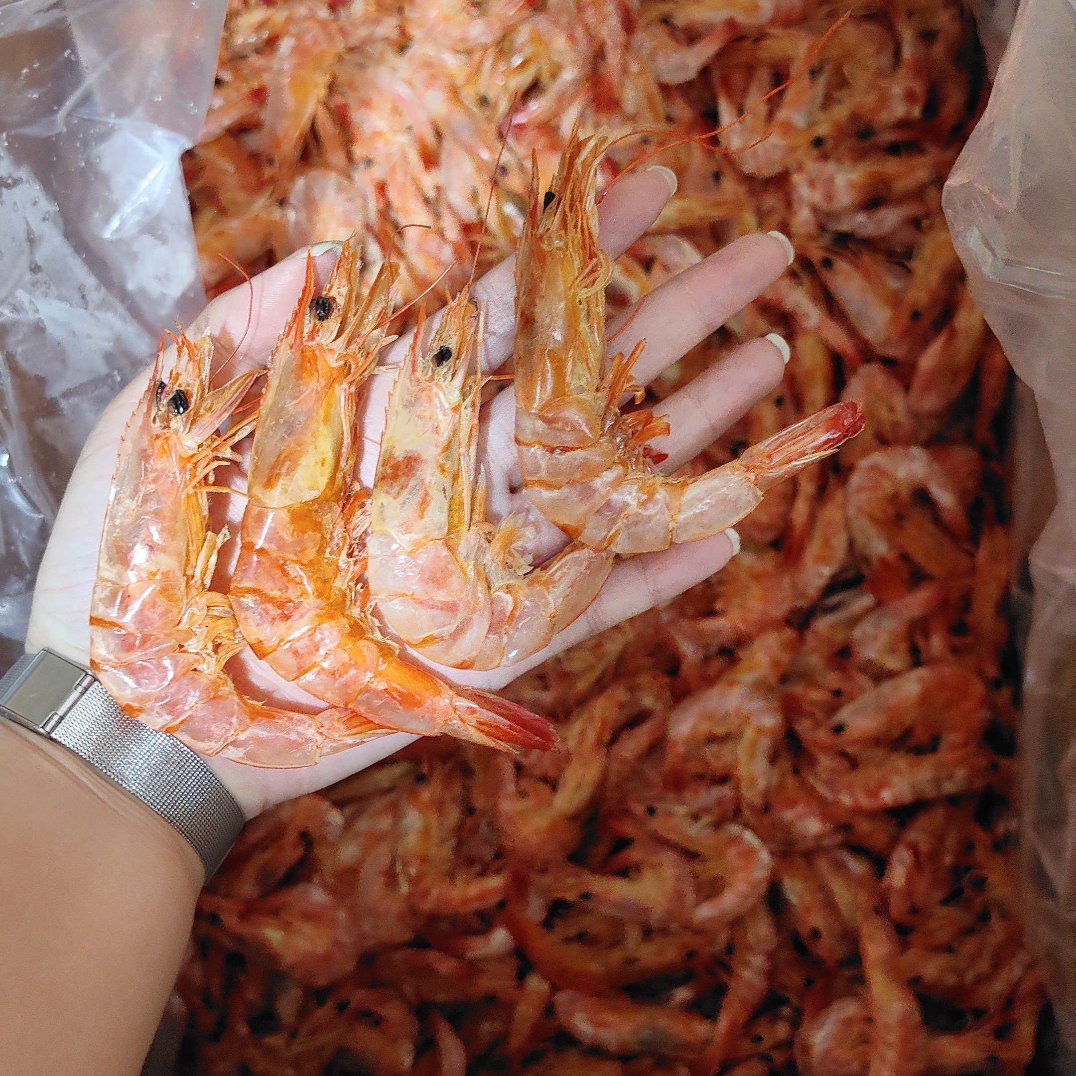 汕尾特产大直虾干淡干鲜甜即食海鲜烤虾干零食