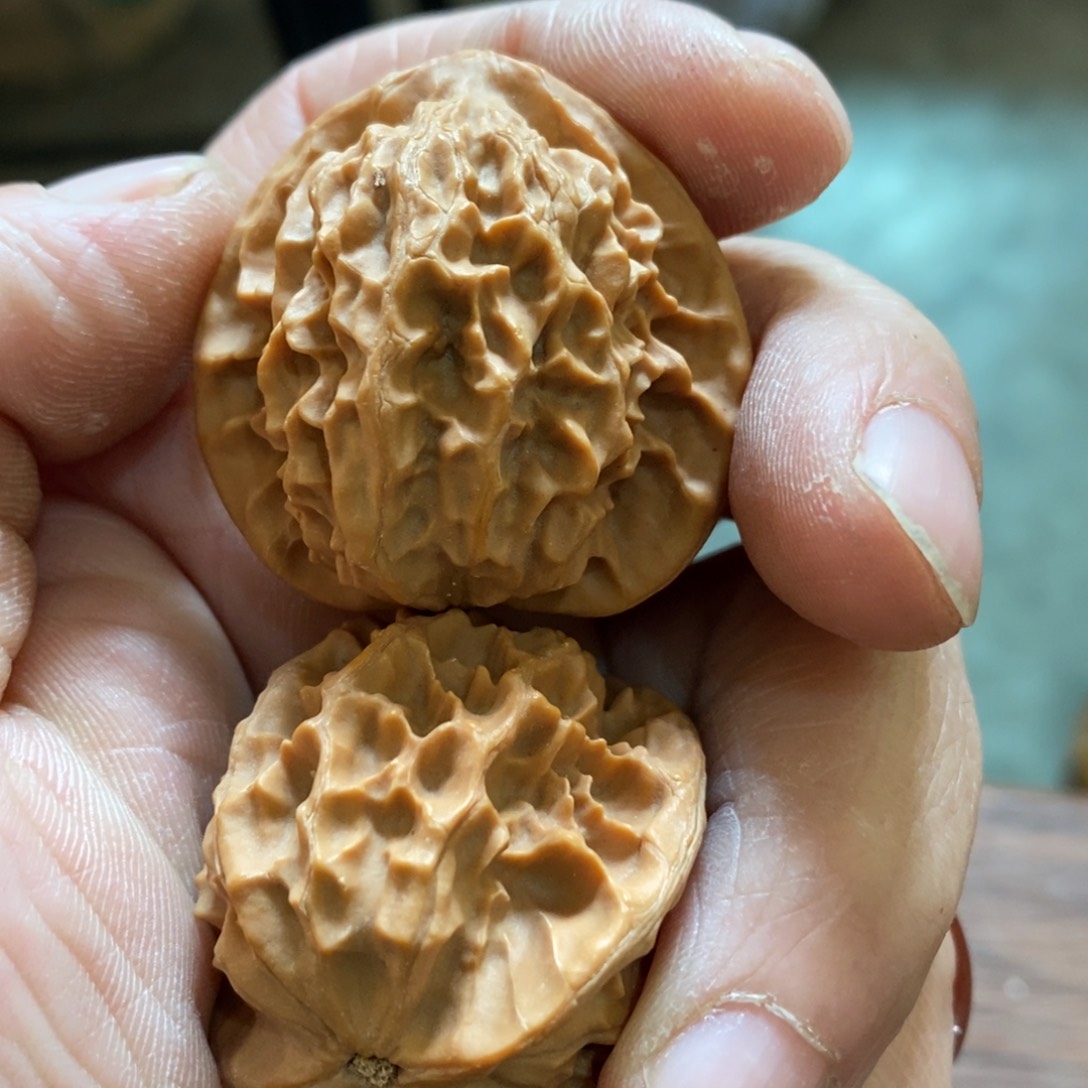 秦岭山脉东面临渤海边缘