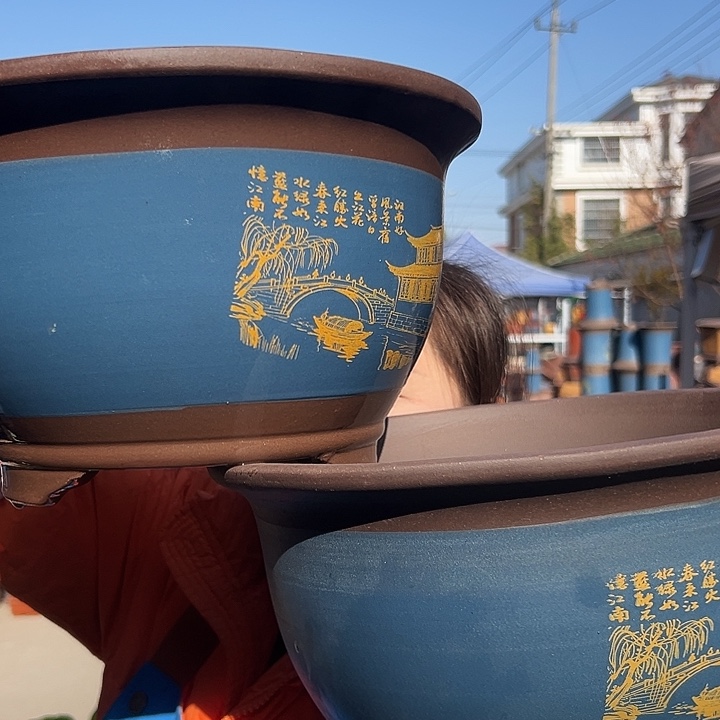 30+30蓝江南水乡三角金钟花盆花盆