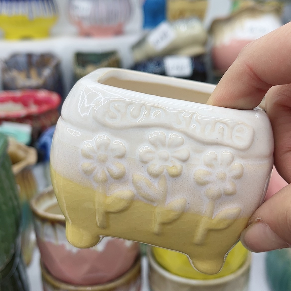 【闪购商品】陶瓷多肉绿植陶瓷花盆
