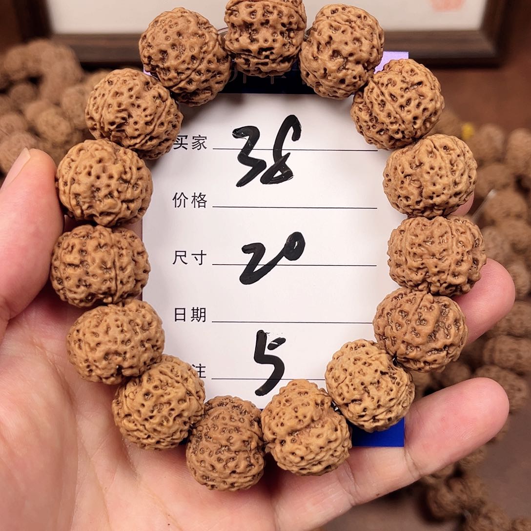 手串金刚菩提5号