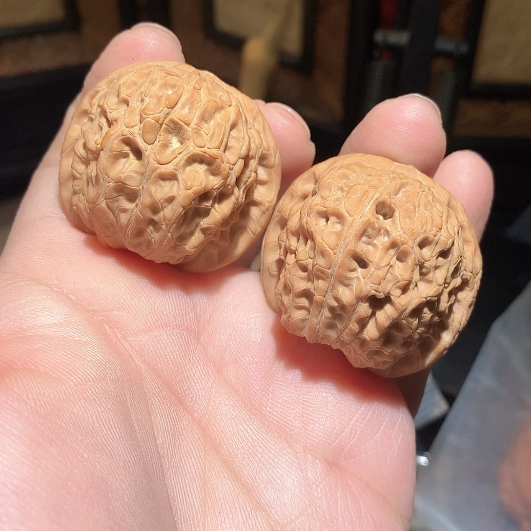 文玩核桃把件41肚血麒麟全品