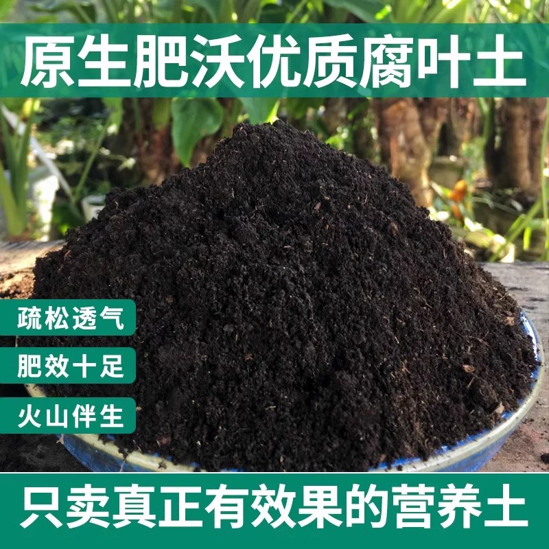 腐殖土腐叶土腐熟通用型营养土养花种菜专用种植土透水透气泥炭土