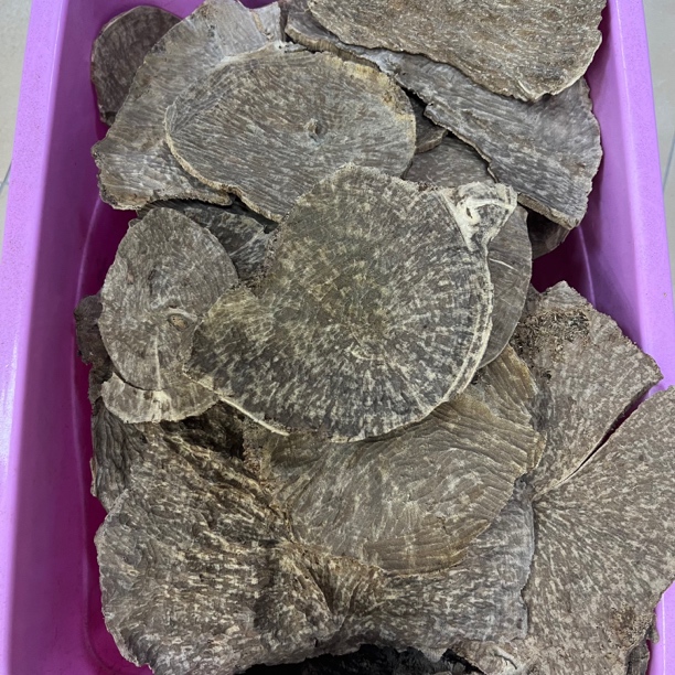 沉香海南沉香白木香板头！上炉清甜花果香50克（实物以直播间为准）