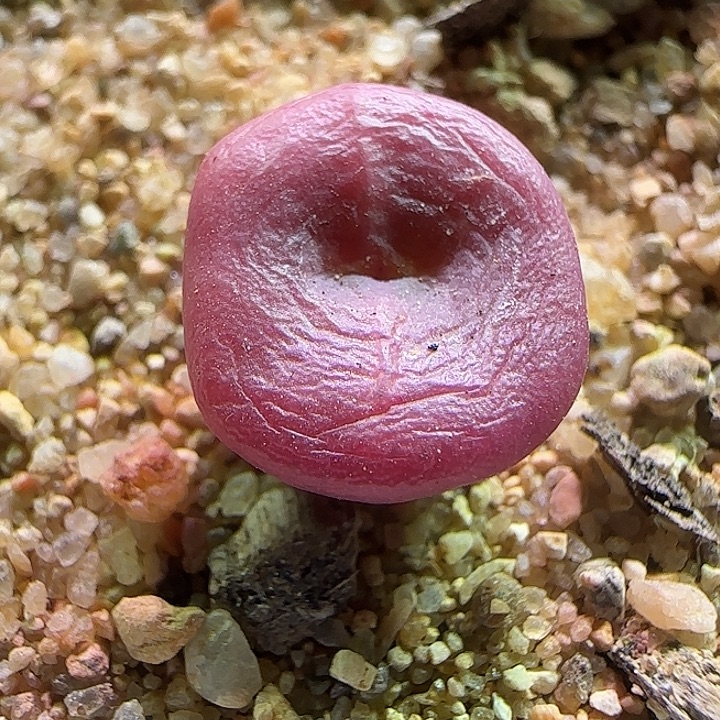 晨***浅    哈哈哈哈哈哈哈。 169