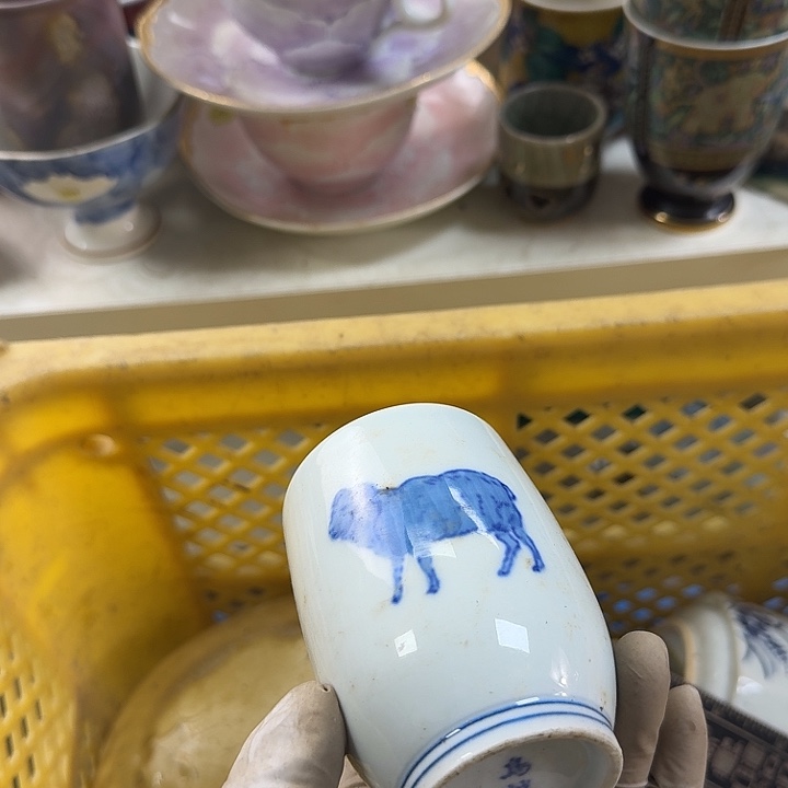 碗开播啦….开播啦