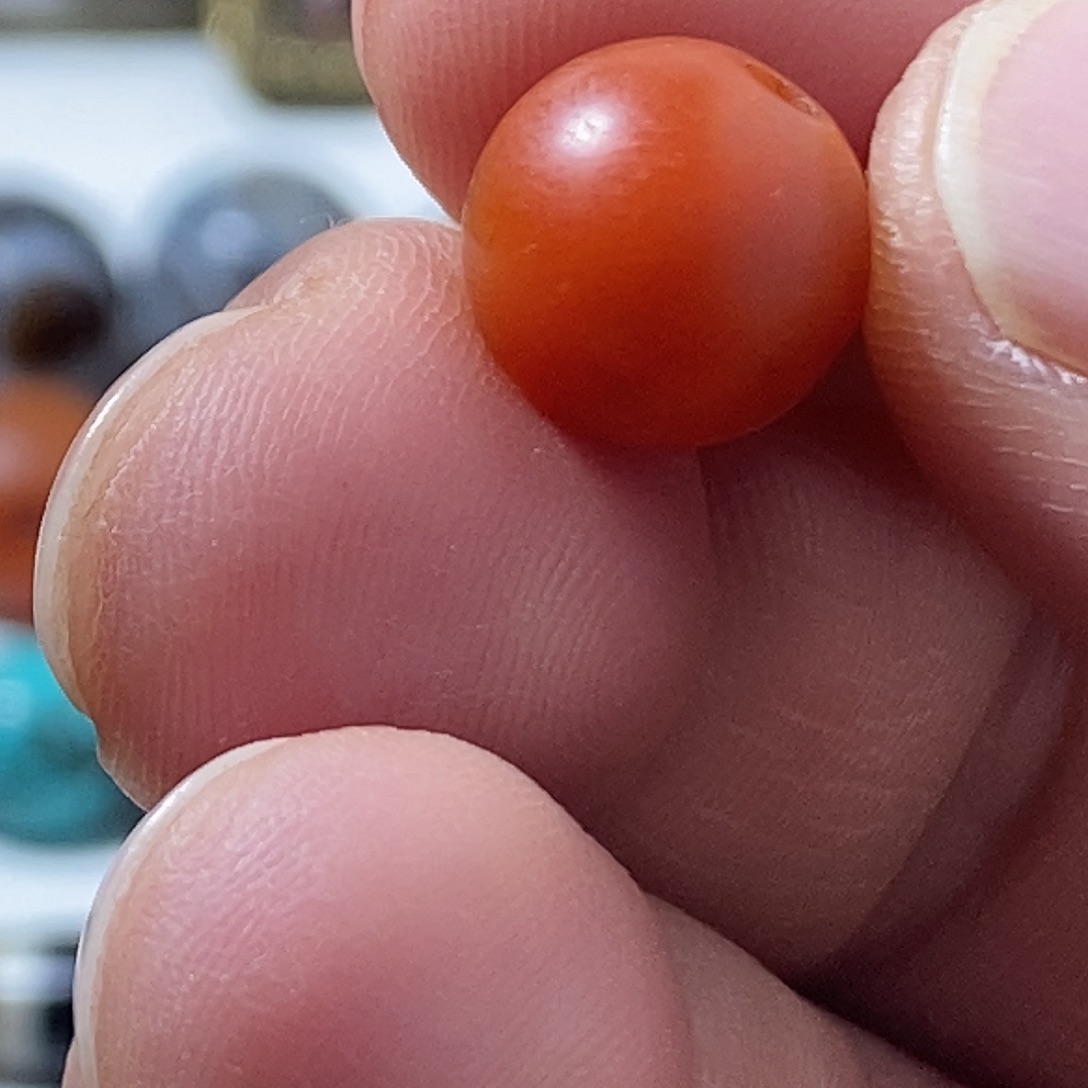 南南一颗1.1的珠子