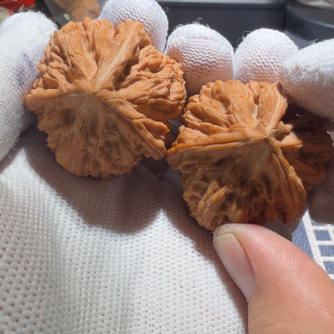 把件文玩核桃御龙正奔