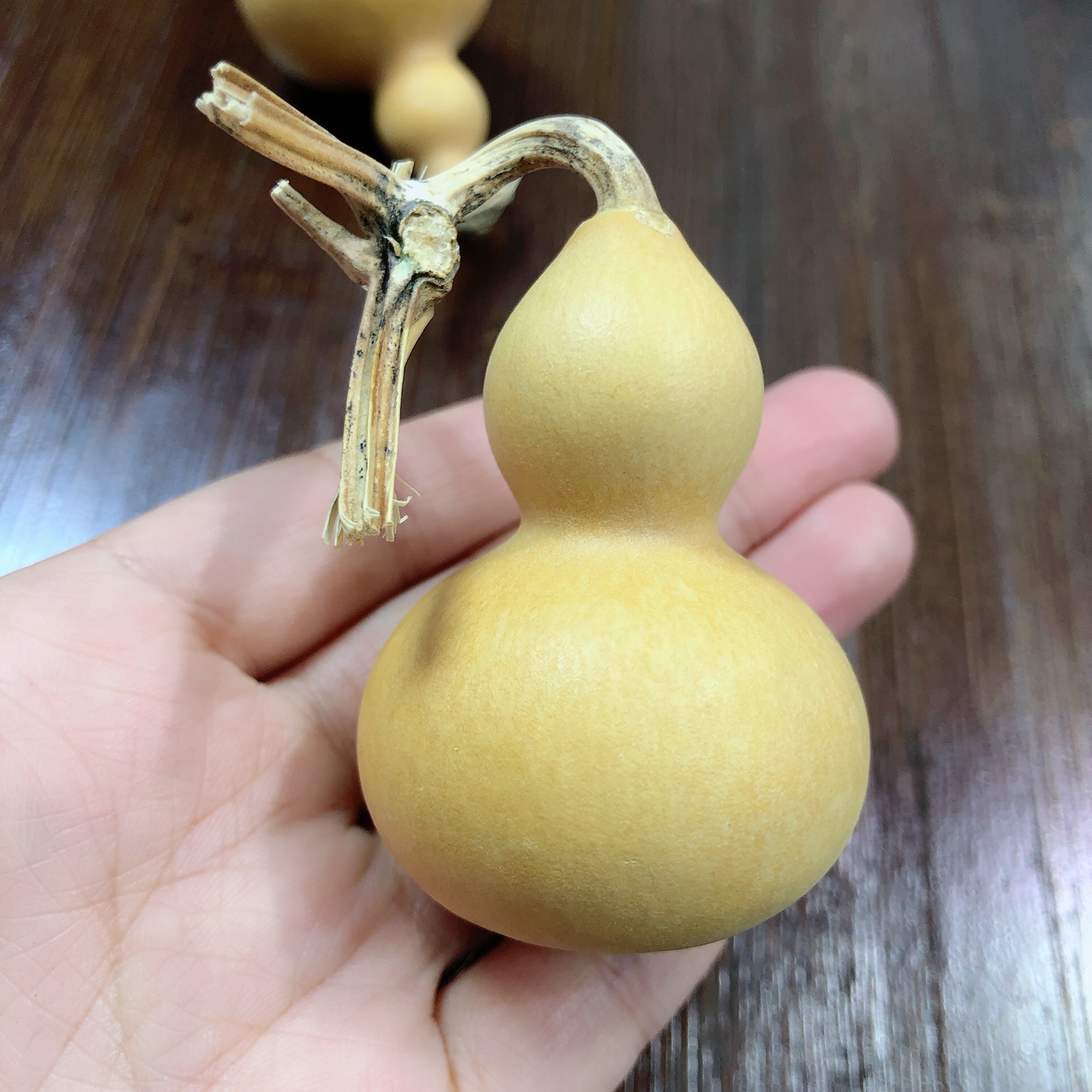 精品葫芦二号链接请勿私拍