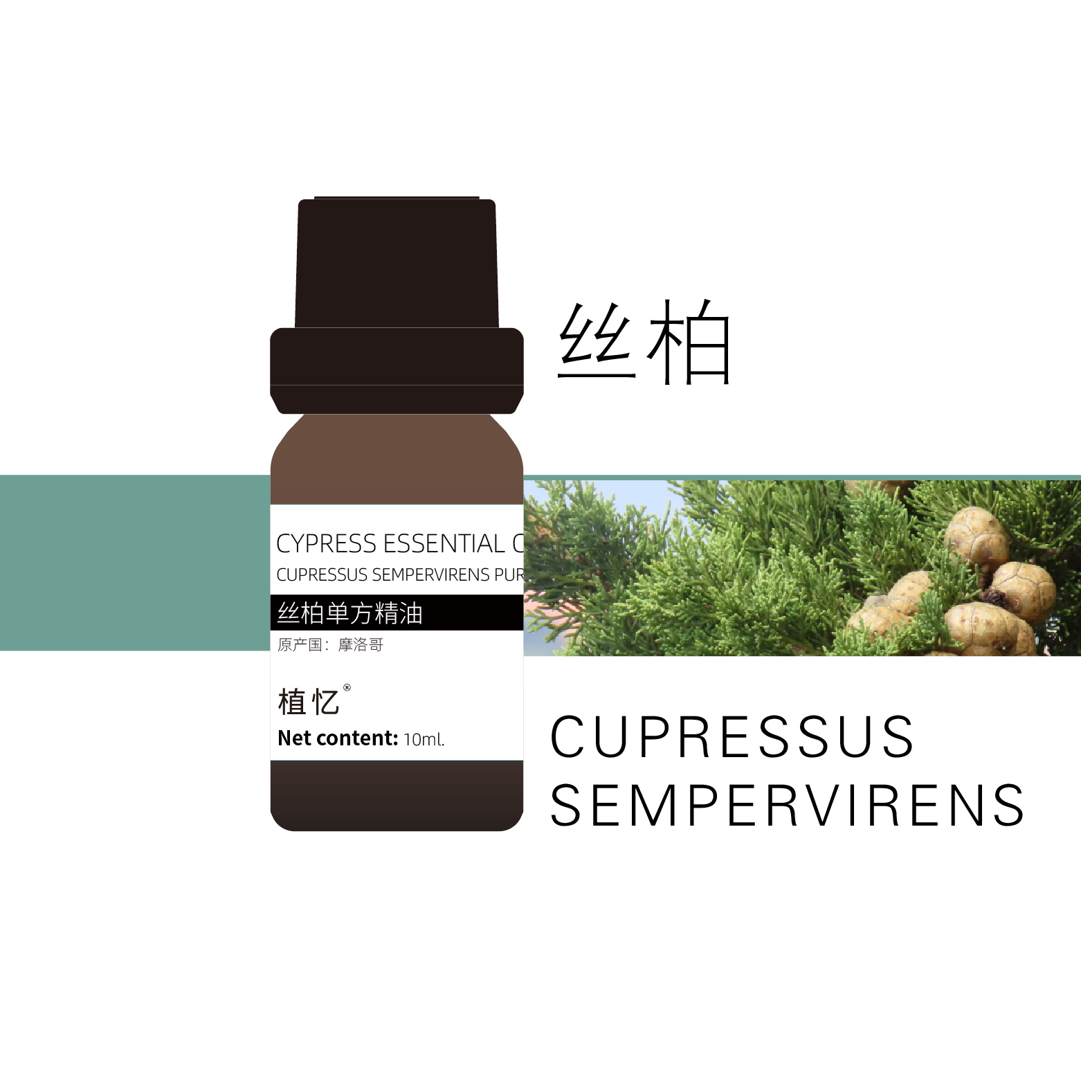 植忆丝柏精油（可搭配黑种草籽油） 摩洛哥 单方精油植物单方精油