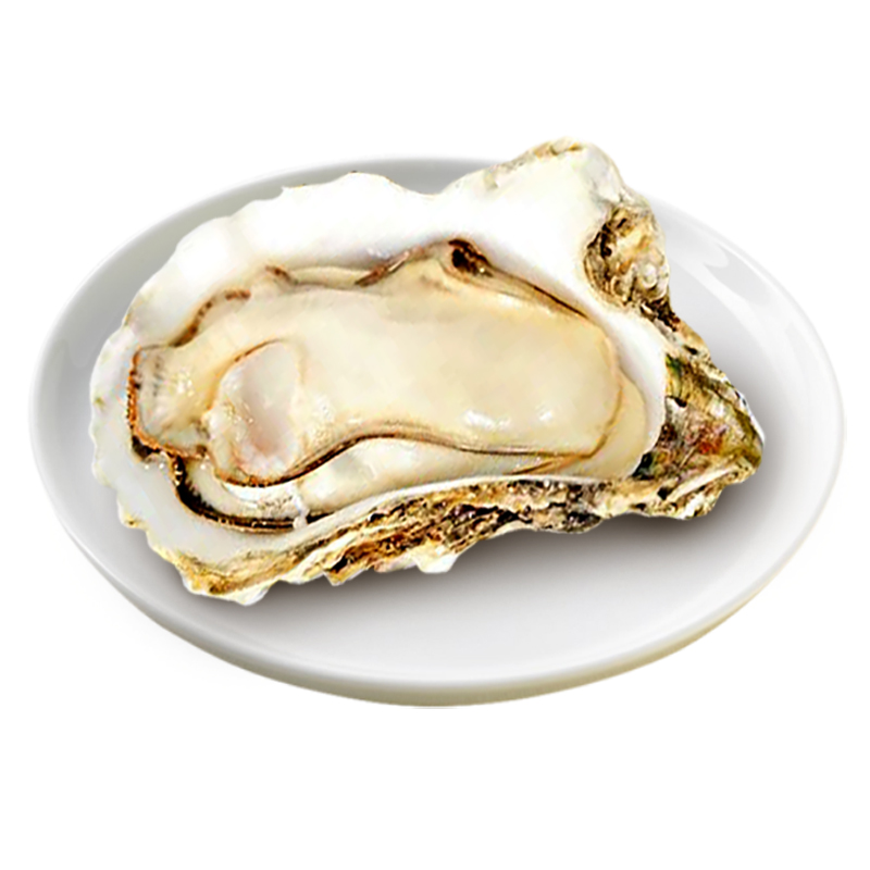乳山生蚝150g以上/只