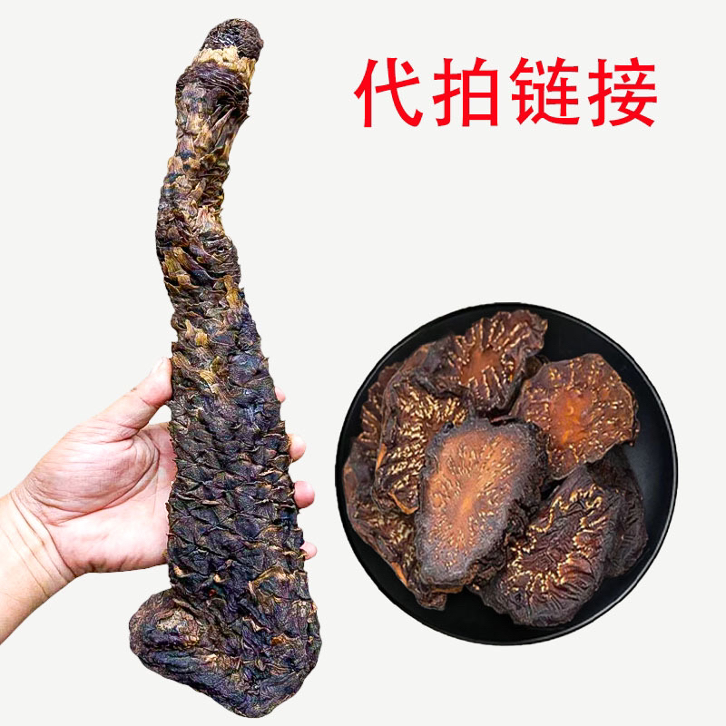 2号代拍链接，直播间为准阿拉善油性肉苁蓉秋冬季节采挖