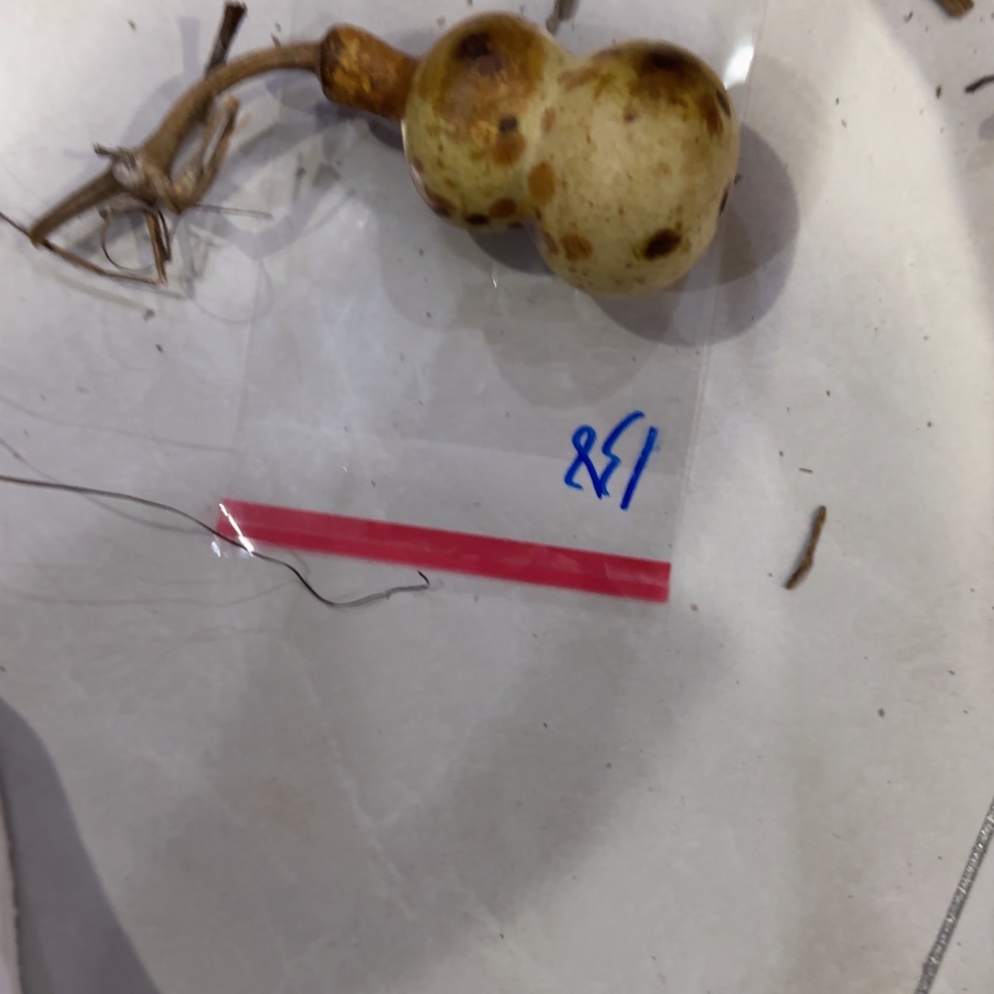 赛****葫芦港汇广场金港国际价格高