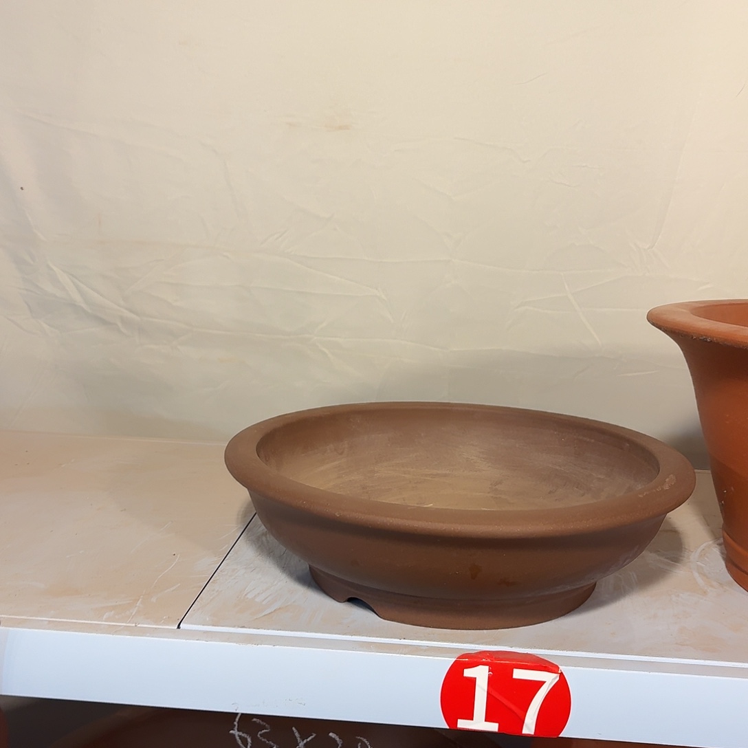 新款碗盆小号紫色一个