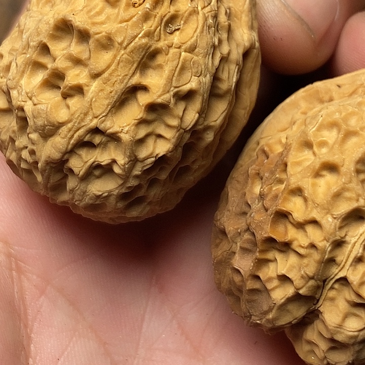 文玩核桃把件志成云铁文玩48