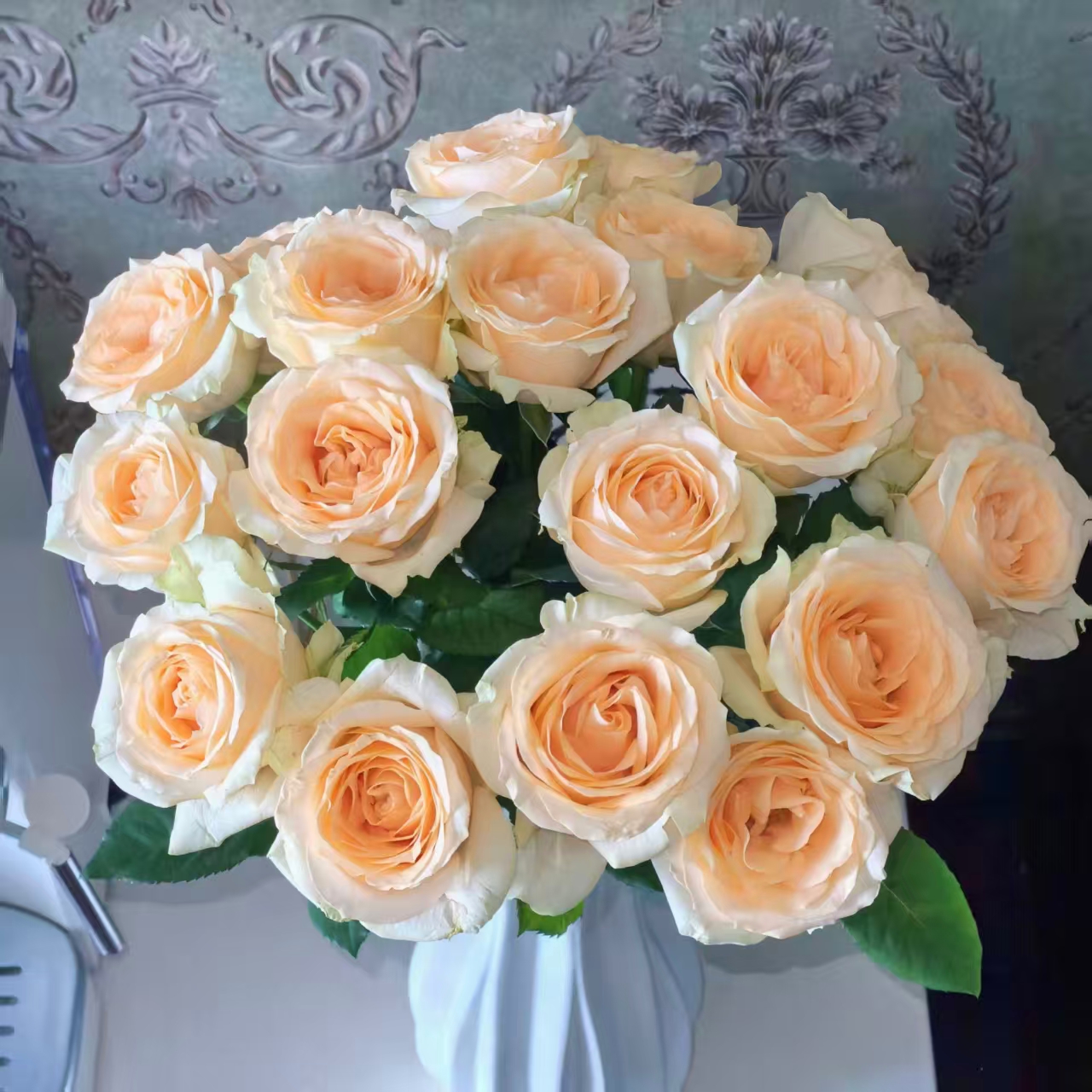 单头香槟玫瑰新鲜鲜花(5度以下拍保温棉，不拍冻坏不售后）