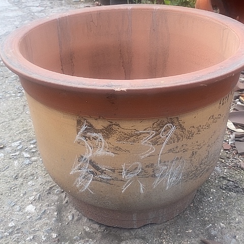 中国宜兴紫砂花盆，