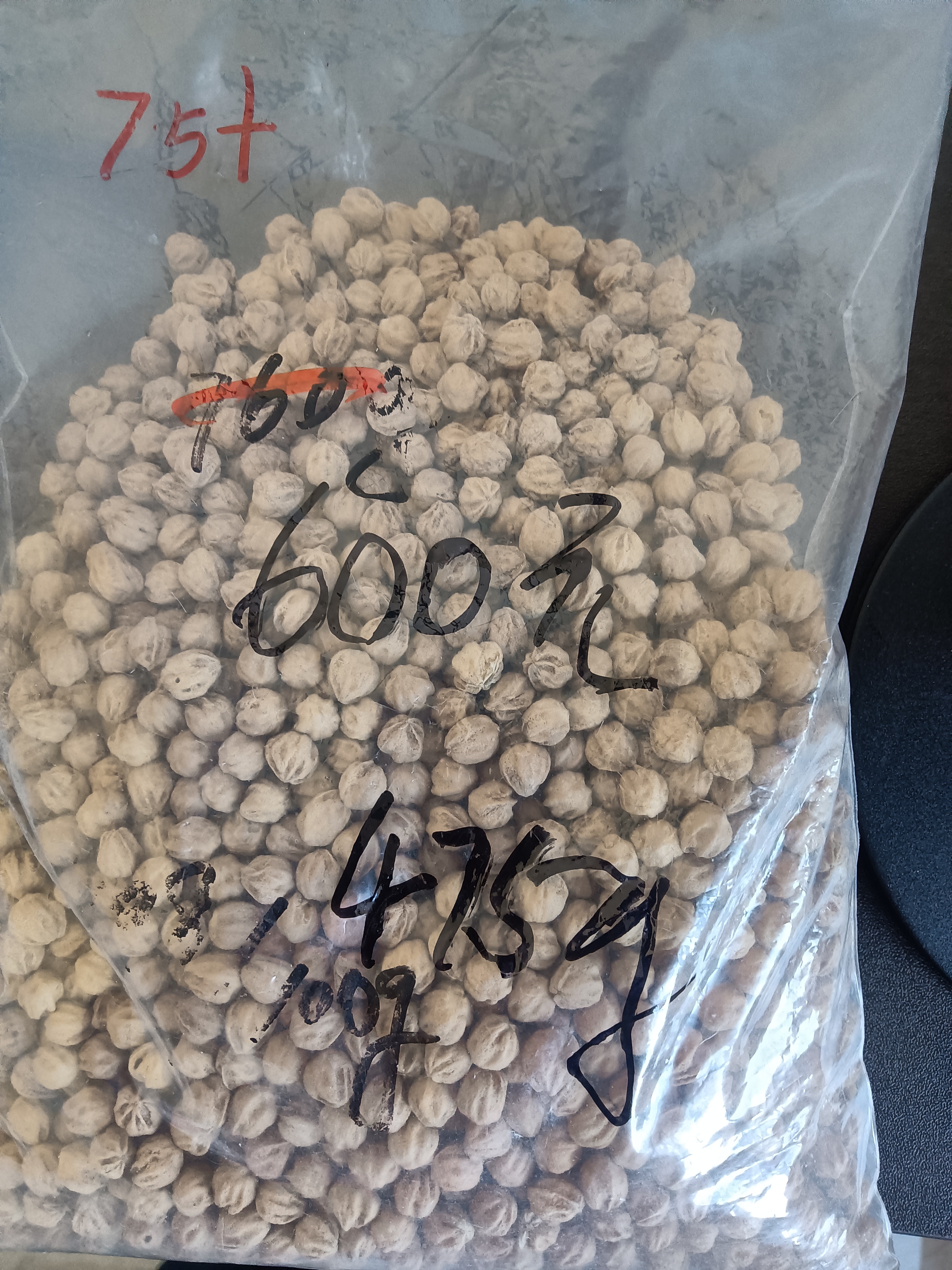 热振柏香籽散籽原料