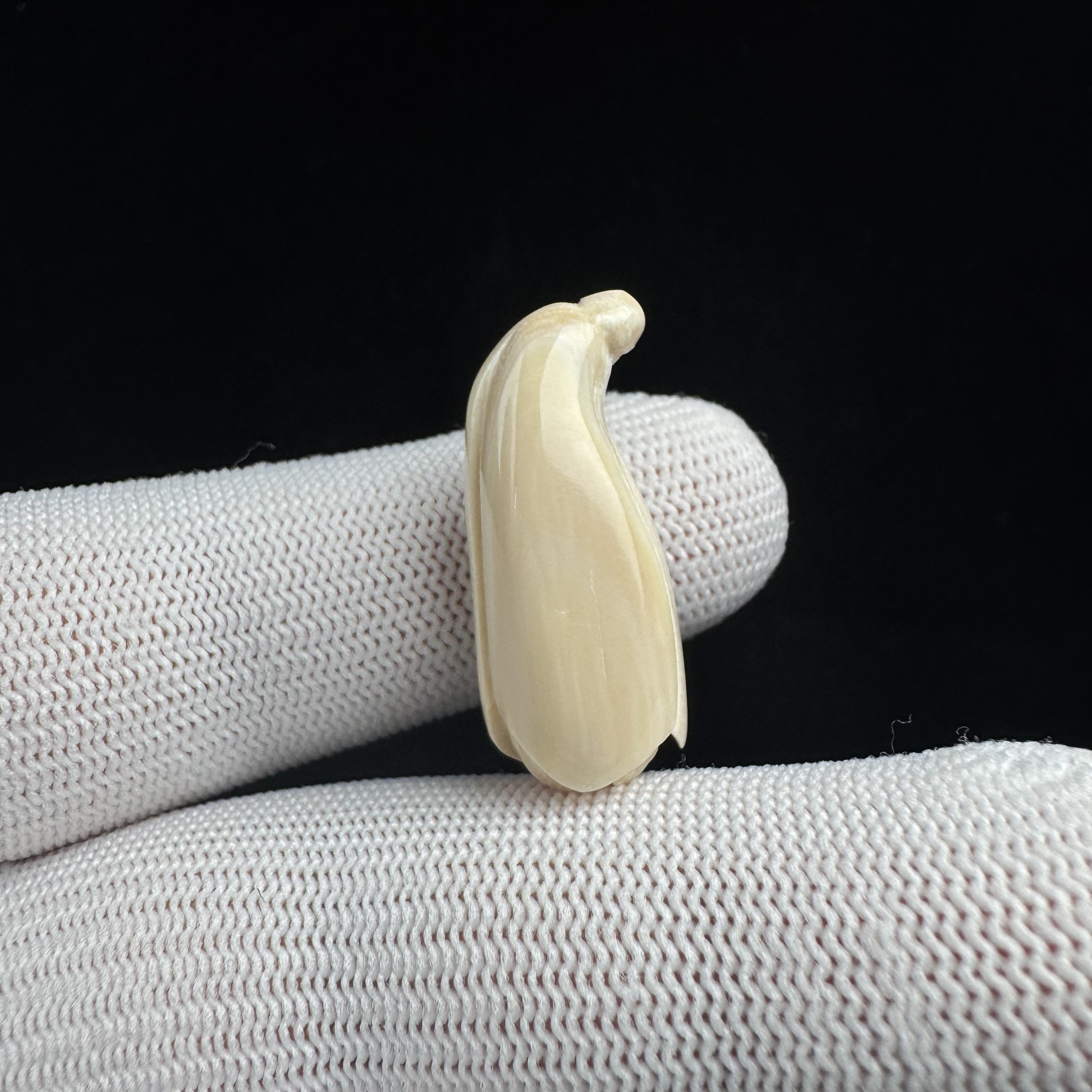 K3101天然猛犸牙玉兰花12.6*30mm一物一图 假一罚十