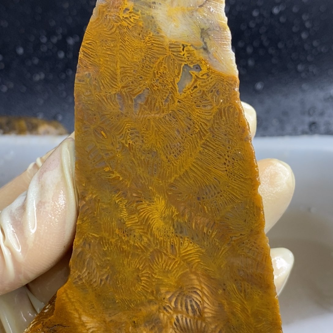 【闪购商品】硅化玉颈饰未镶嵌