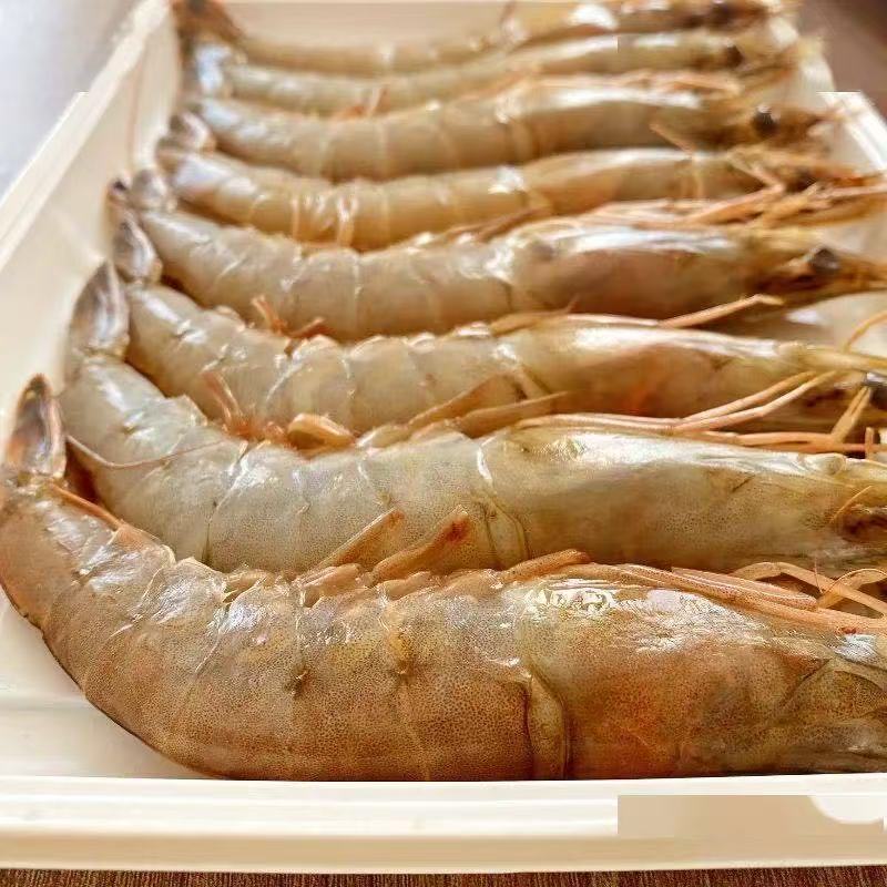 纯野生虾20个左右一斤