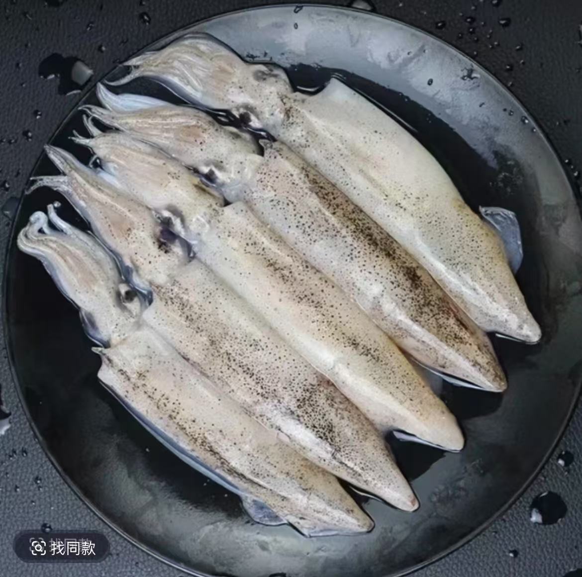 码头直发新鲜上岸/鱿鱼4斤/海兔笔管 顺丰冷链发货