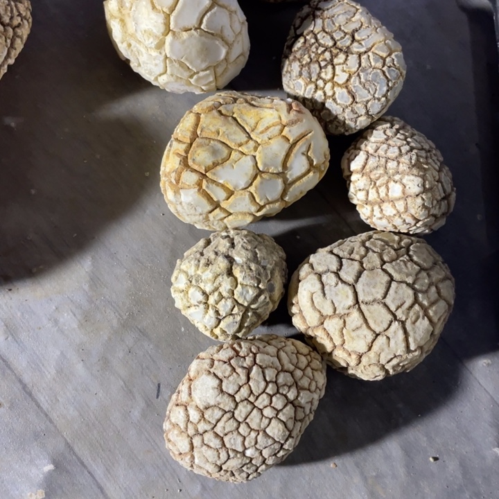 上***石石材奇石怪石摆件