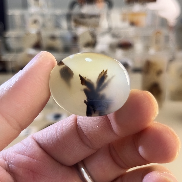 玛瑙/玉髓吊坠(不含链)未镶嵌