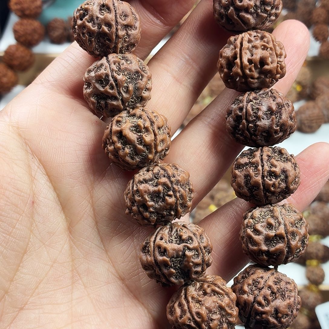 手串金刚菩提稀有精品梅花千金盘龙