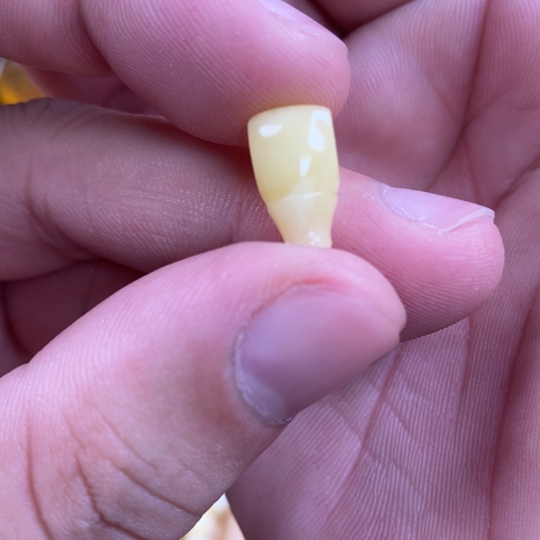 暮***琂蜜蜡未镶嵌裸石配饰