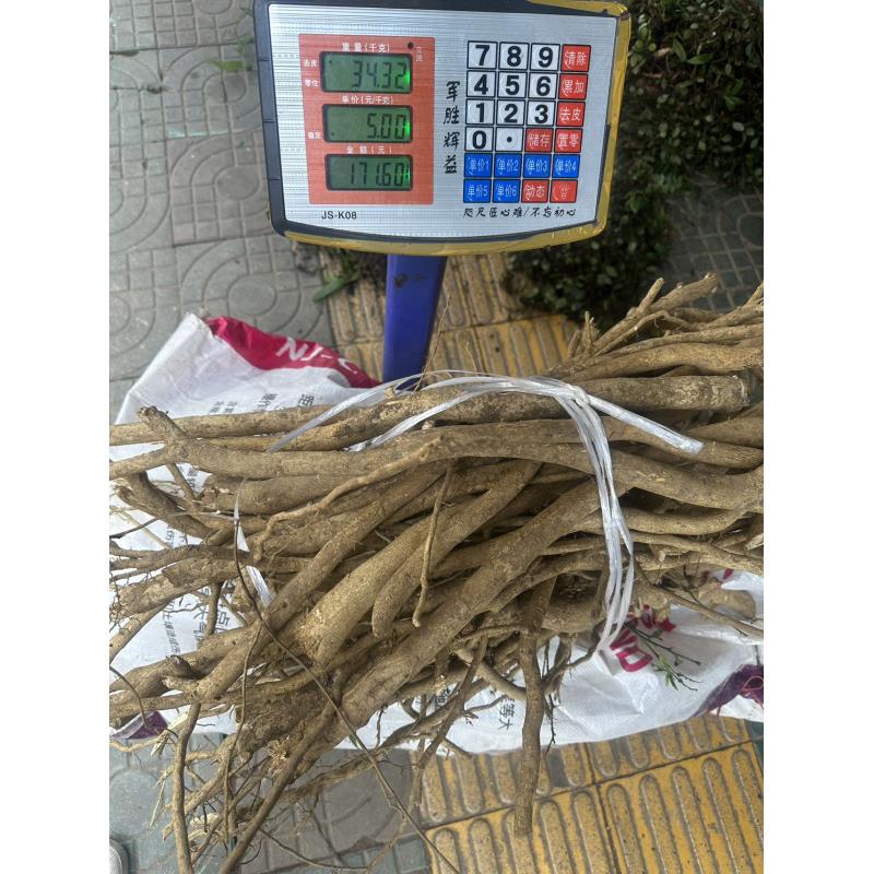 柠檬根 纯野生柠檬根 本地柠檬根部 500克一份包邮 整根如图片发