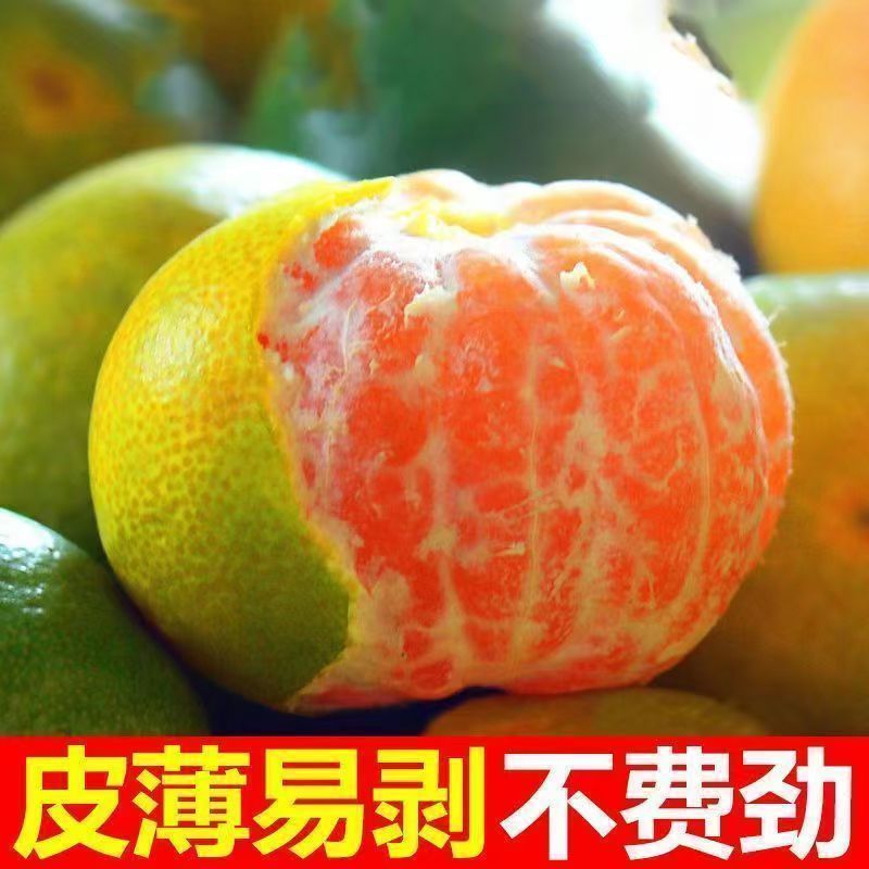 D巴东巫峡富硒蜜橘新鲜酸甜橘子带箱5斤当季水果皮薄多汁应季包邮
