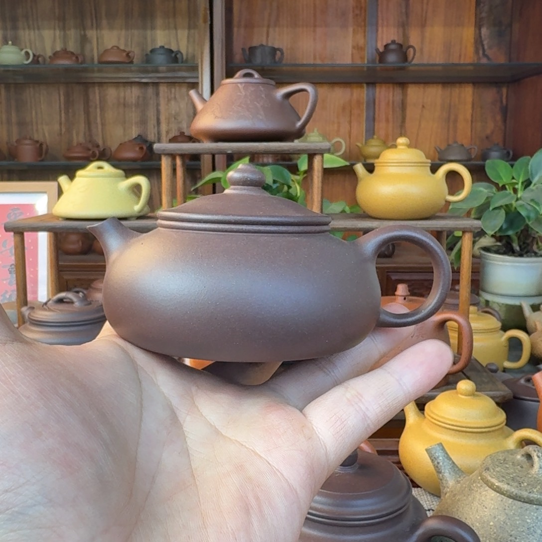 智***里紫砂茶壶2443453455