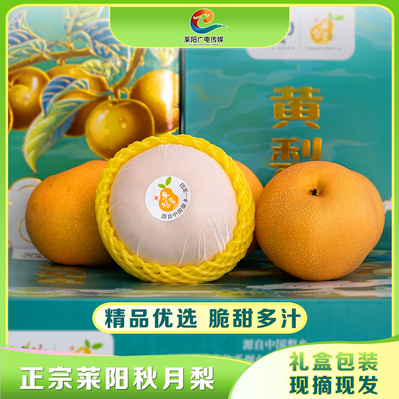 【莱阳味道融媒甄选】烟台莱阳正宗秋月梨新鲜当季水果脆甜多汁包邮