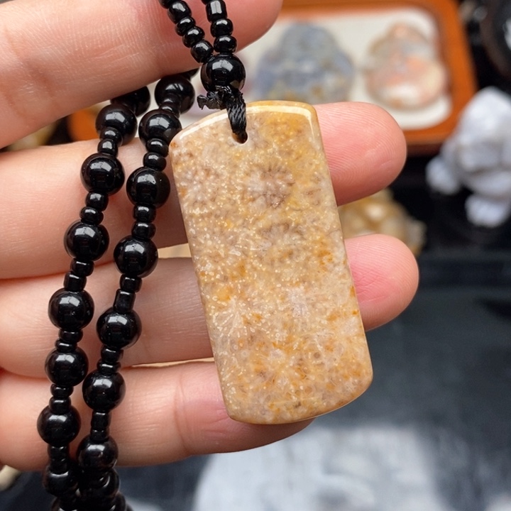 硅化珊瑚（珊瑚玉）颈饰未镶嵌