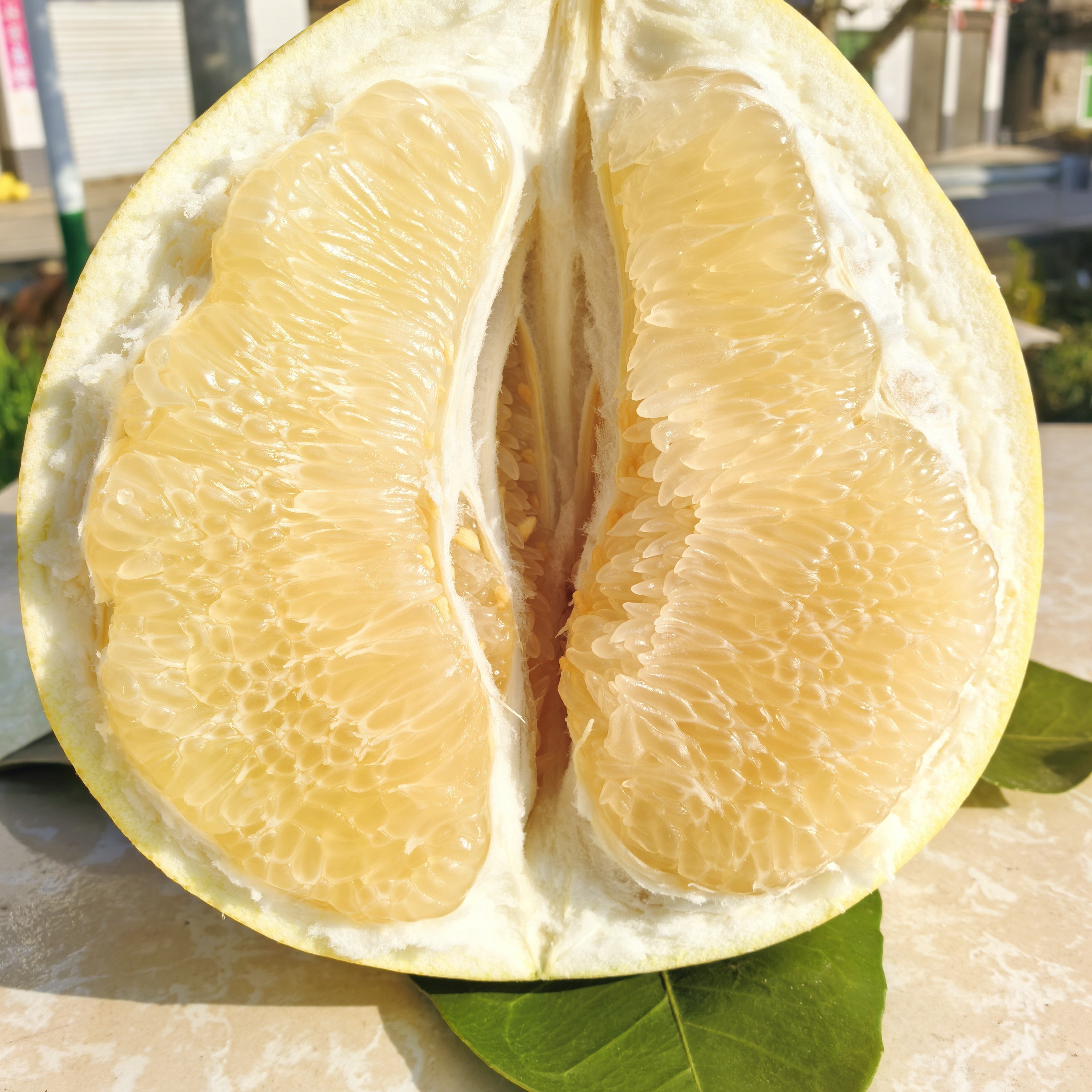 [巫溪蜜柚]巫溪蒲莲蜜柚白心柚子正宗红心柚子农村柚子新鲜当季