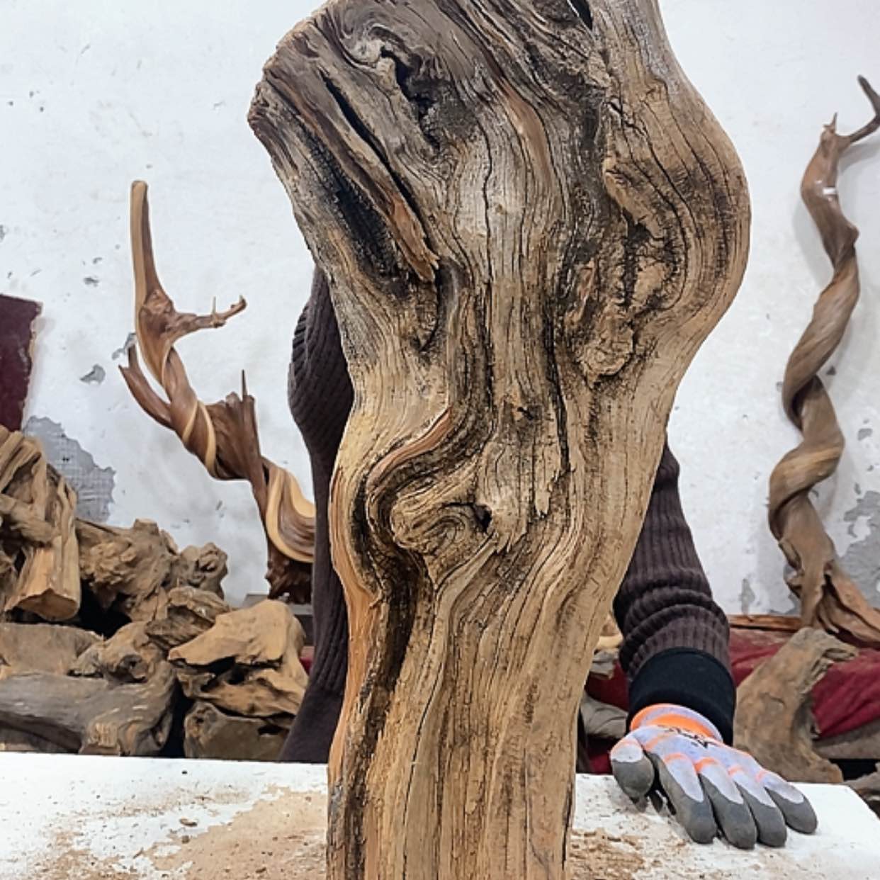 【闪购商品】柏木小*我们都是好孩子