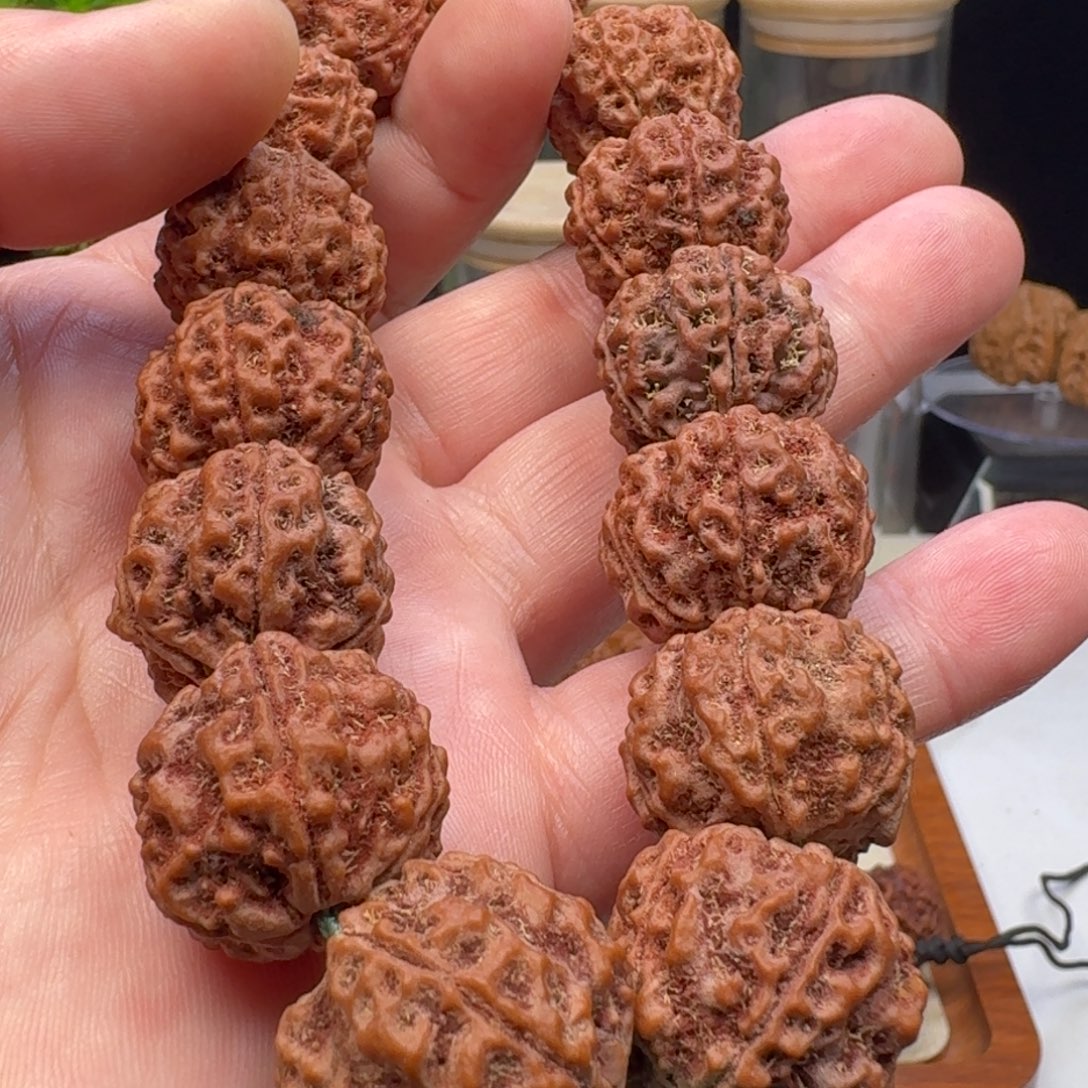 手串金刚菩提梁粗筋蜂王籽