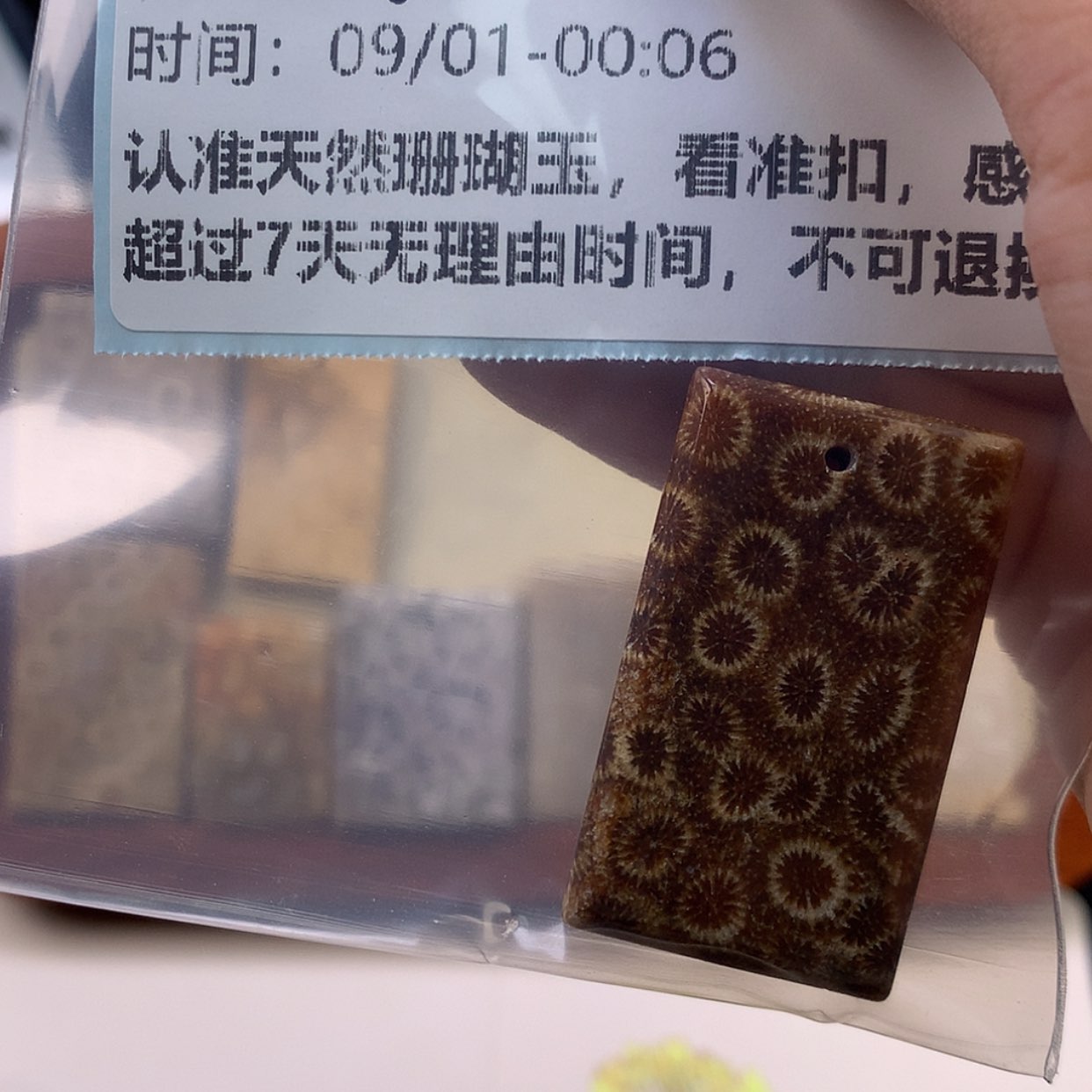 【闪购商品】颈饰未镶嵌硅化珊瑚（珊瑚玉）薇*
