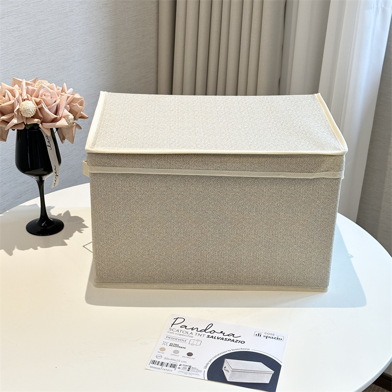 无纺布收纳箱（新款）（颜色随机）