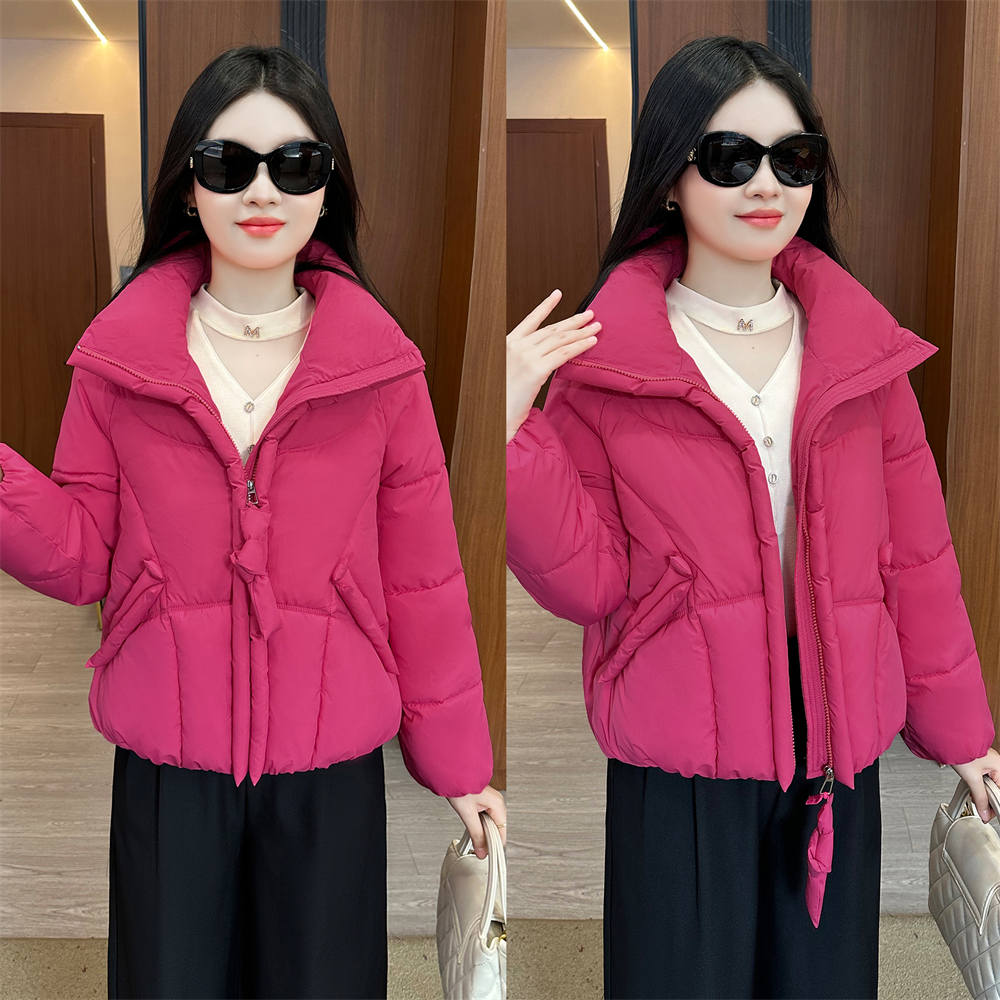 【婉星儿品牌】加厚保暖时尚短款韩版冬季棉衣百搭女士韩版立领休闲