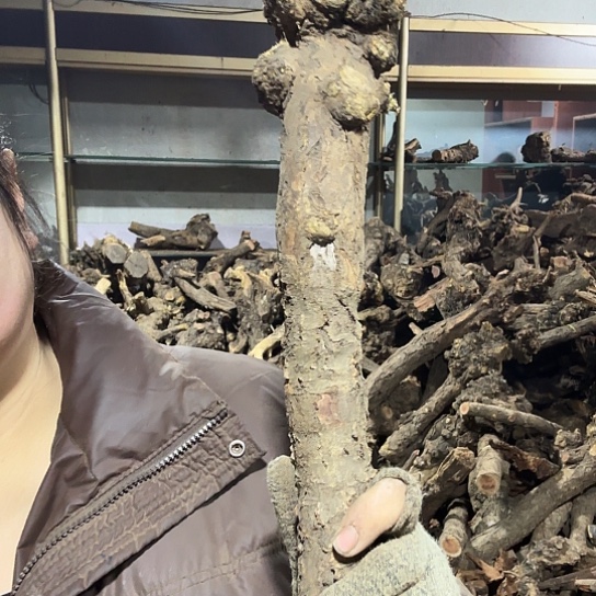 香榧木鹰**空火琉璃的毛料摆件