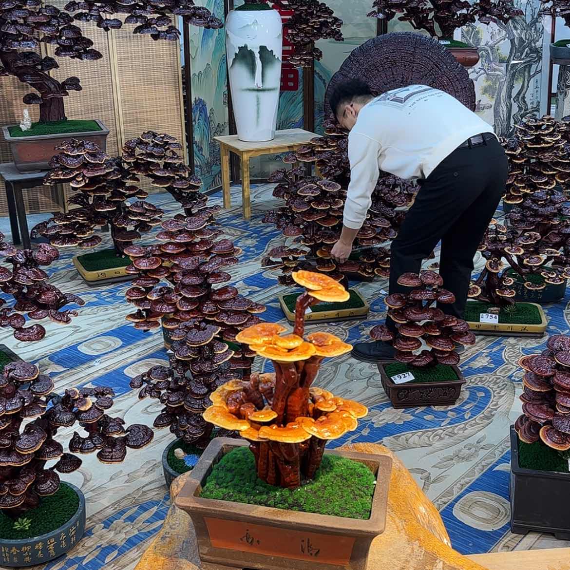 【闪购商品】888888