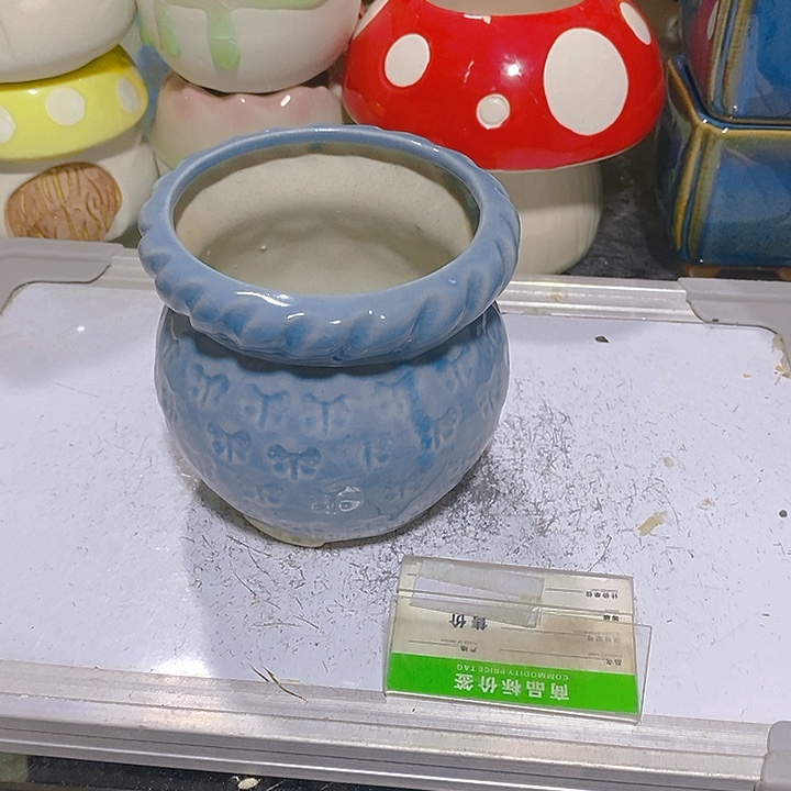 摆件多肉瑕疵盆有孔。