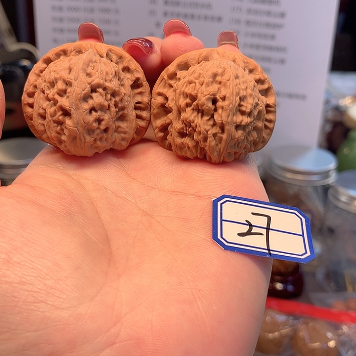 菩提籽类白狮子41尺寸