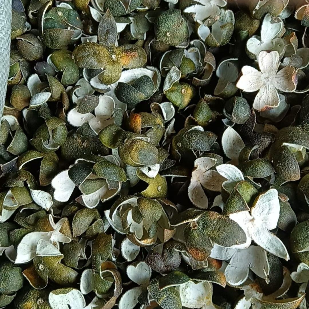 野生桔皮，皮薄肉香煲汤，煲茶靓货