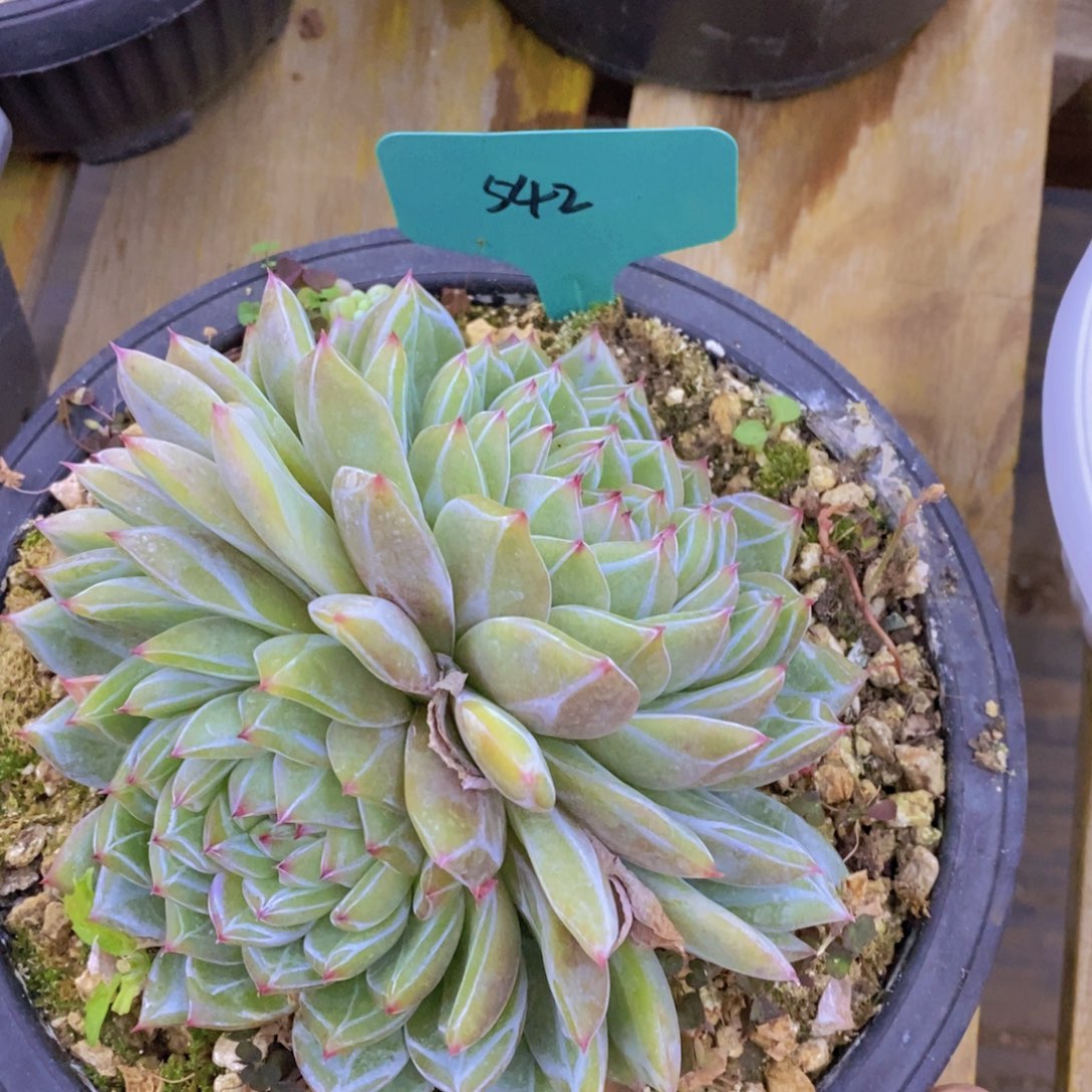 清货专场，满5宋1了