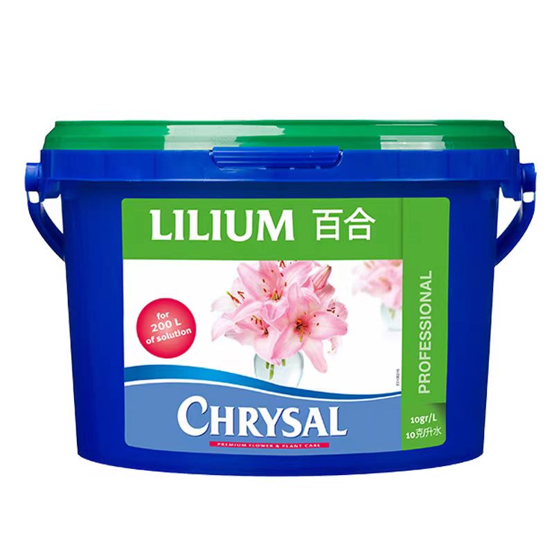 【加购款】超级加购款荷兰进口可利鲜，需要和鲜花一起拍