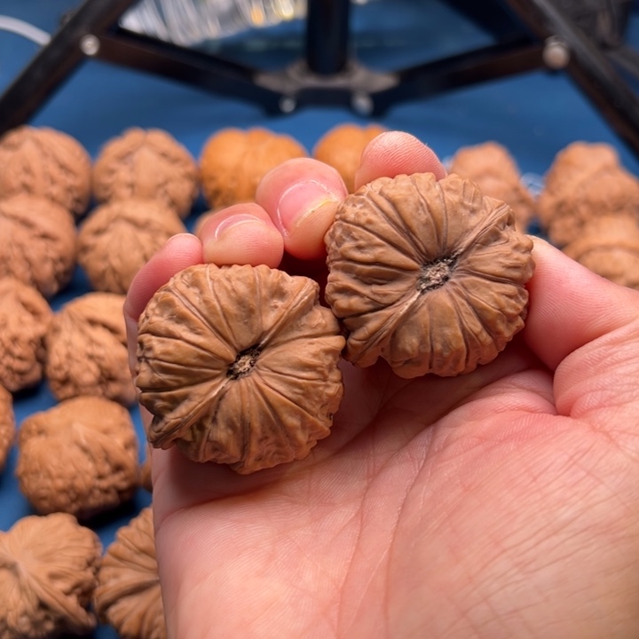 文玩核桃把件白**糖南瓜